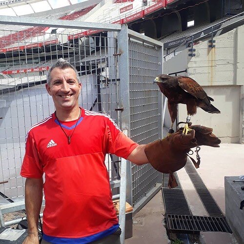 frabigol's tweet photo. No puede ser sumaron al cuerpo tecnico de River a un adiestrador de Aguilas para que un aguila cuide el pasto de la cancha, MI CLUB. https://t.co/NYRXejYEoA