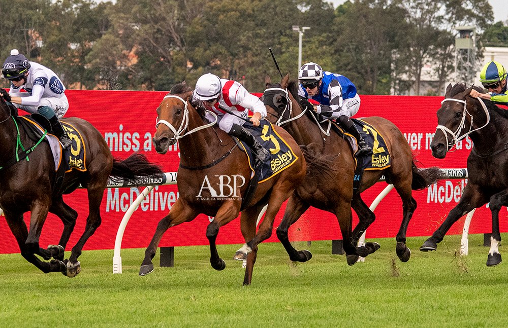 ashbrennanphoto's tweet photo. Group 3 success for #AussieTom with TOFFEE TONGUE (NZ) (#Tavistock) in the Sky High Stakes. Another winner for @cwallerracing! https://t.co/M97u5zu3cd