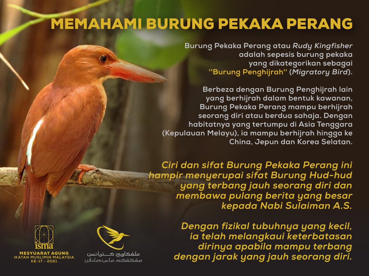 Burung hud hud di malaysia