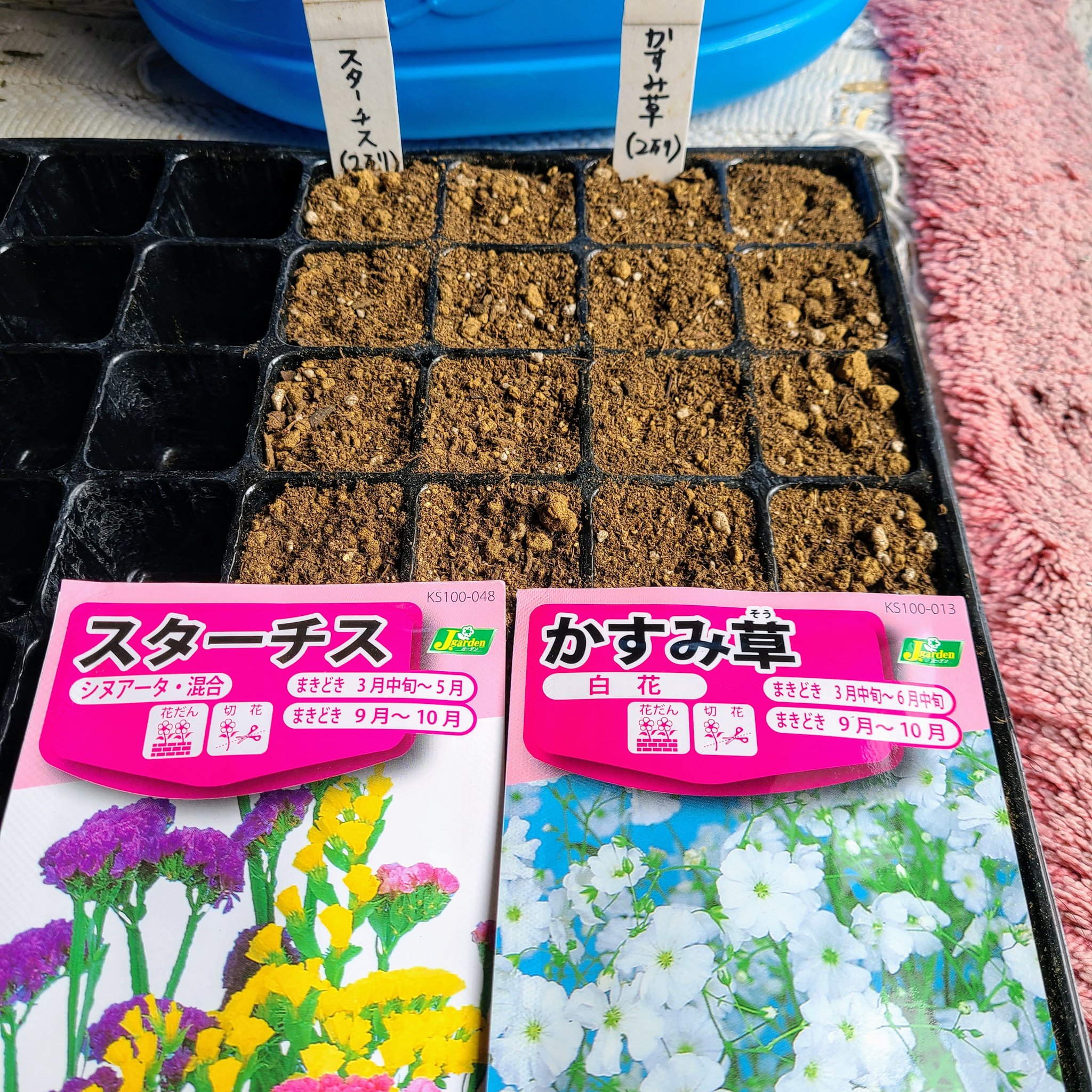 信州発 家庭菜園 Q S Natural Garden ちゃんとソーシャルディスタンスとってくださ い すずらん 鈴蘭 庭 花 開花 T Co Pwhhngoeib Twitter