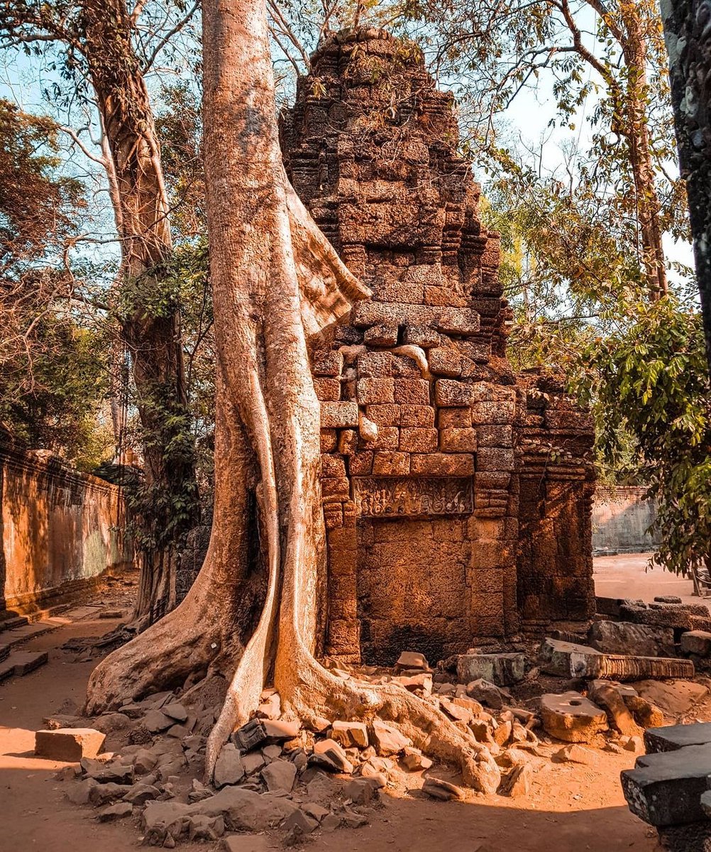 Angkor Archaeological Park contains some of the most famous temples in the world, including the majestic Angkor Wat, Ta Prohm and Bayon. 
.
📸 Photo by @_paulgrant_ (IG)
🌏 siemreap.net/visit/angkor/t…