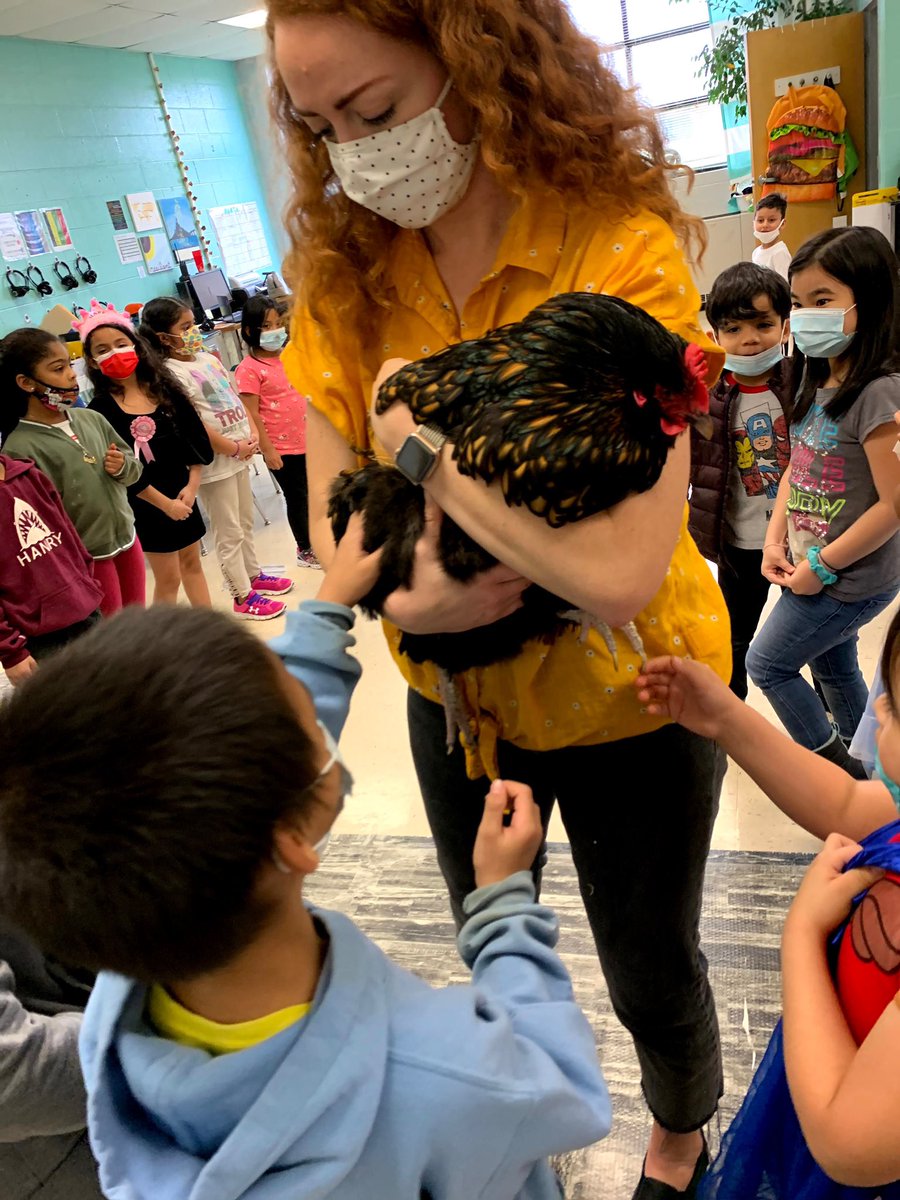 momma_morton's tweet photo. Our first graders have been learning all about BIRDS, and we just had to bring one in so our ELLs could explore first hand. Their excitement, engagement, and conversations were AMAZING!! #huskyESLlence #huskyexcellence @SmyrnaPrimary @RuCoELL https://t.co/qgOPnmqLXg