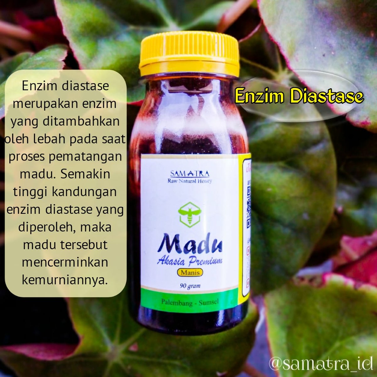 Fajar_011291's tweet photo. Enzim diastase merupakan enzim yang ditambahkan oleh lebah pada saat proses pematangan madu.Semakin tinggi kandungan enzim diastase yang diperoleh, maka madu tersebut mencerminkan kemurniannya.

Ig :https://t.co/eRZkHLivfn

Sumber : https://t.co/mAgDVOld0E https://t.co/EbCc0ochcl