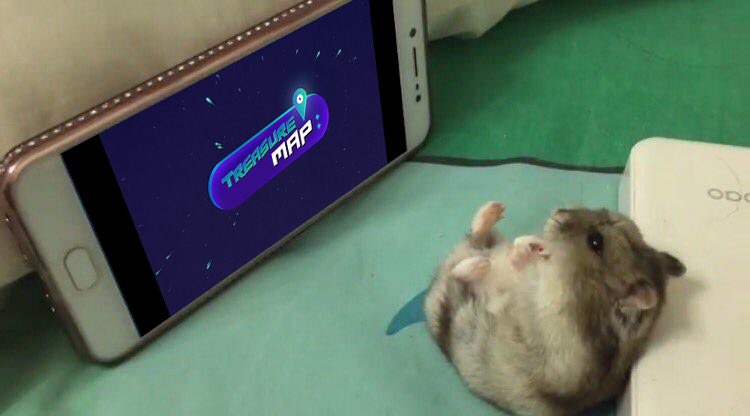 🐹트레저맵 보는 마시호🐹