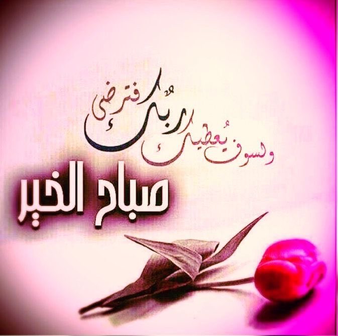 لاتحمل هم الرزق فإنه من الله ولاتحمل هم المستقبل فإنه بيد الله فقط احمل همًا واحدًا كيف ترضي الله