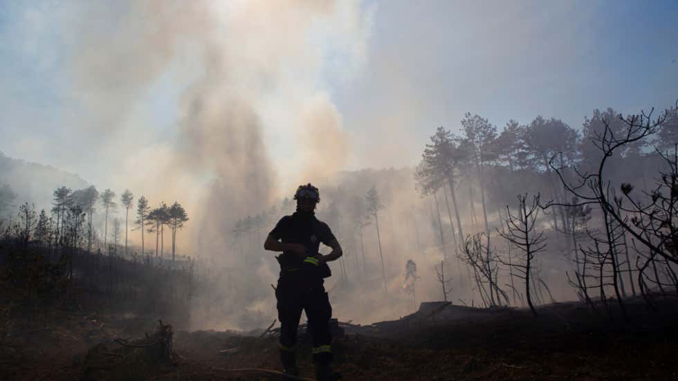 weatherindia's tweet photo. #OdishaFires: Forester Dances Ecstatically After Rain Douses Wildfires Across #SimilipalForest; Twitter Reacts
https://t.co/7m8UeN5axH
(📸: IANS) https://t.co/KScuLEvtxi