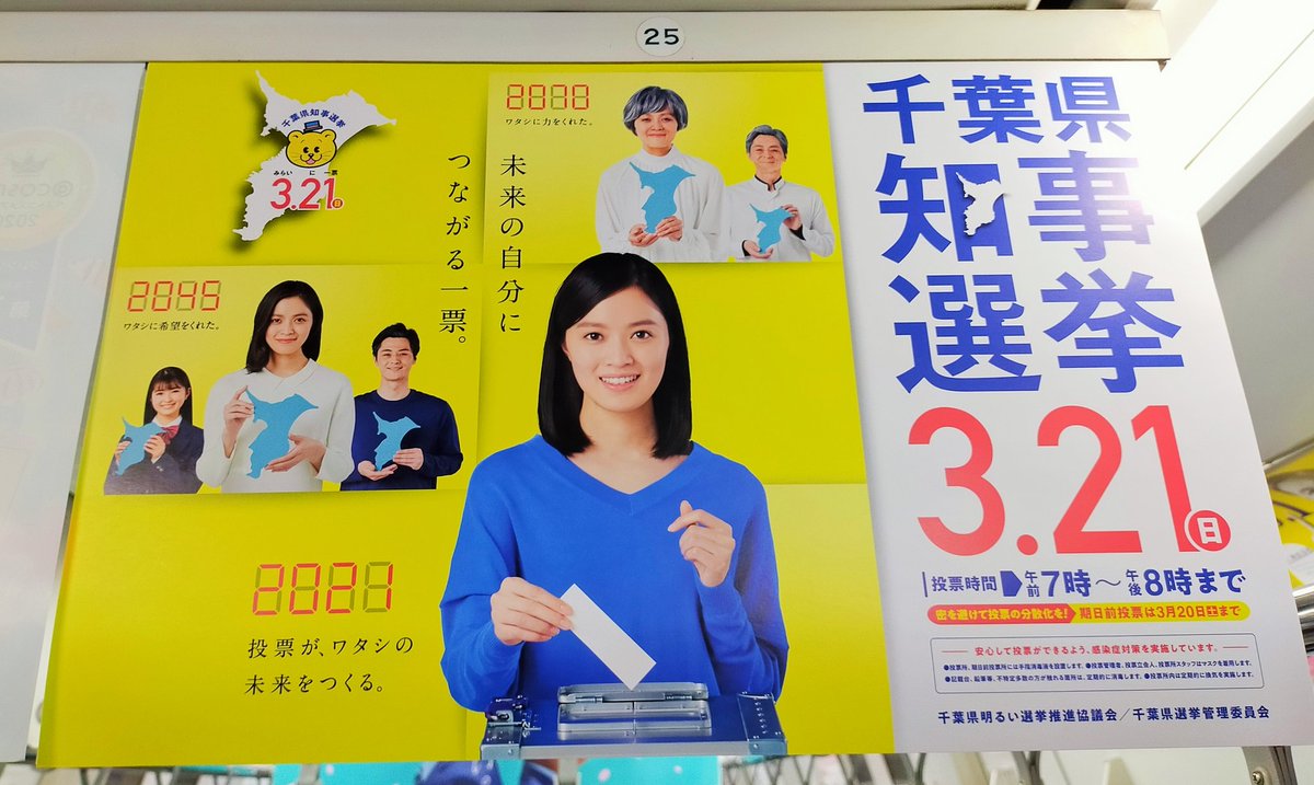 千葉 県 選挙