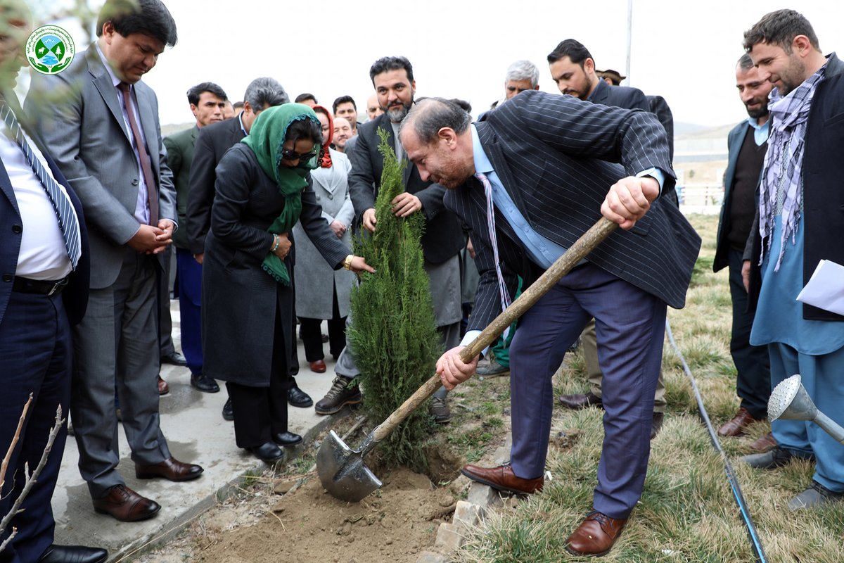 nepairoa's tweet photo. میوندی: در برنامه نهالی شانی در وزارت عدلیه
برای سرسبزی و محیط زیست سالم، به انقلاب سبز نیاز داریم
د سالم او ښېرازه چاپېريال لپاره بايد شين انقلاب رامنځته کړو
#هرا_فغان_یوه_ورځ_یو_نیالګی
#د_سولې_او_ښېرازۍ_نیالګی
#TreePlanting1400 https://t.co/qmyfSXWXHb