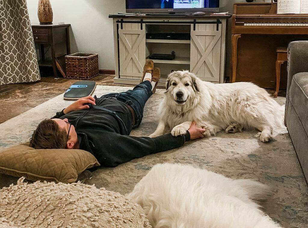 humphreythepyr's tweet photo. She always has to be touching her favorite human #pyrpaw
.
.
.
.
.
#mavisthepyr #greatpyrenees #greatpyreneesofinstagram #pyreneanmountaindog #chiendemontagnedespyrénées #dogsofinstagram #largebreeddogs #bigdog https://t.co/uyOggycrbn https://t.co/JuCirpKPEQ