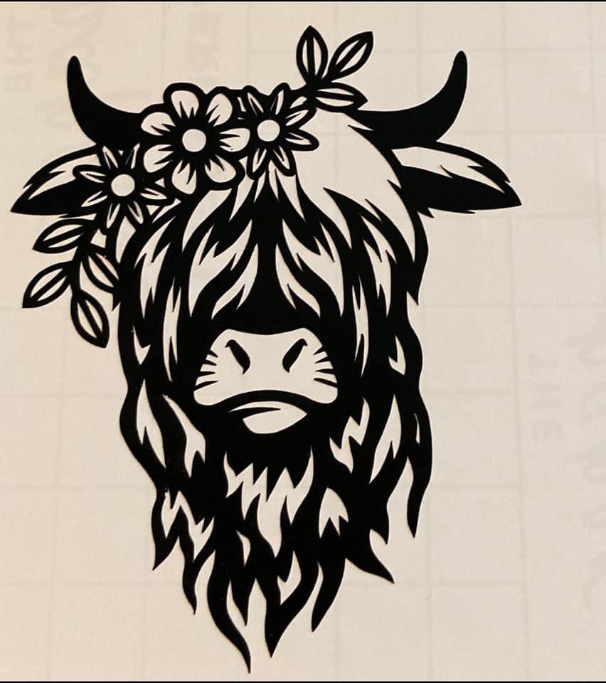 BellesBroncs tweet picture