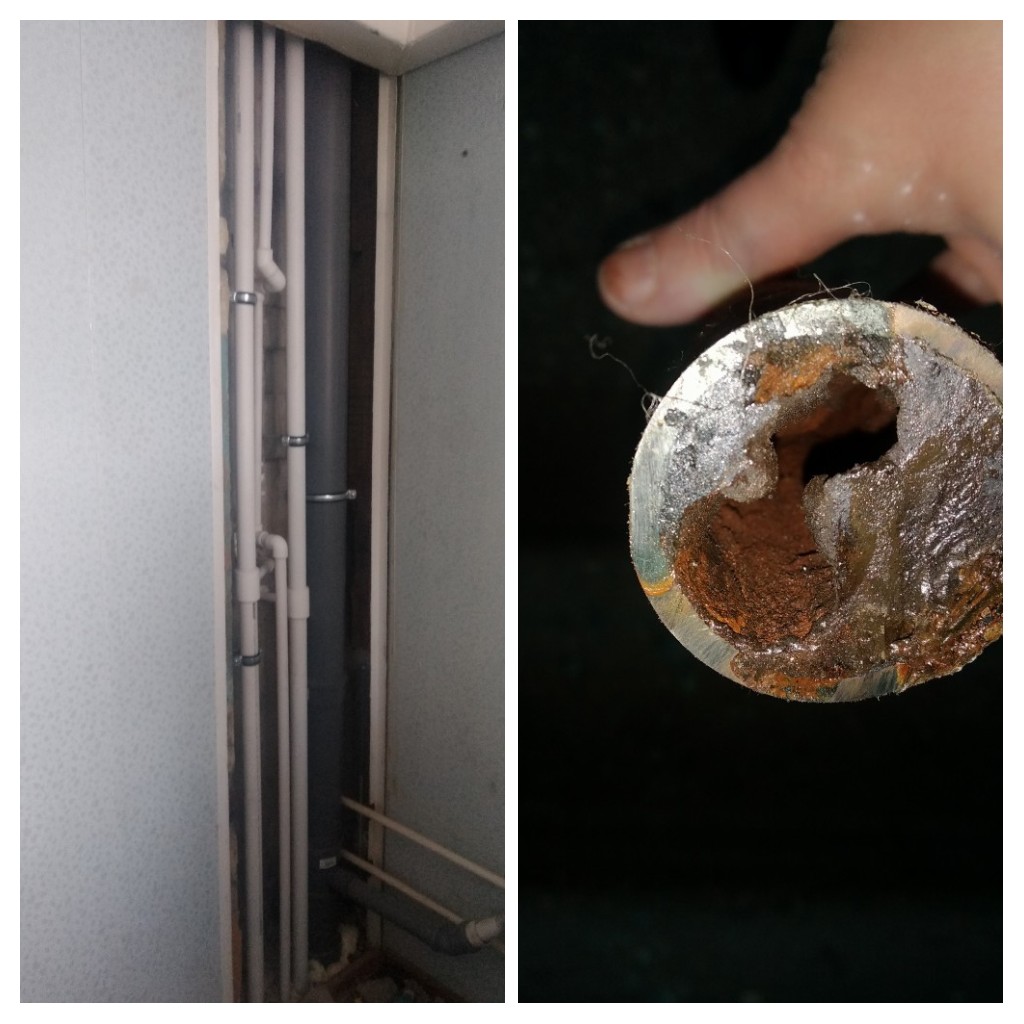 Юдкина Людмила tweet media