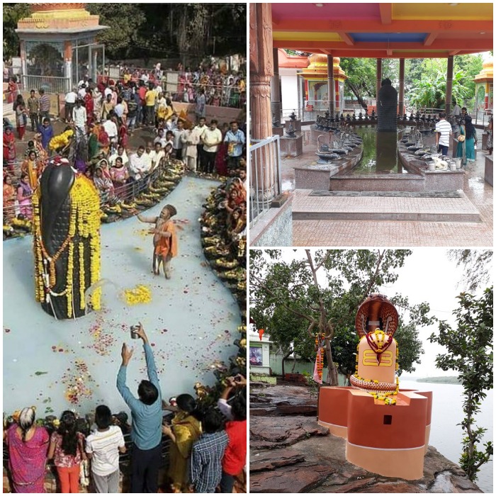 ShowDaddyIN's tweet photo. See Pic: Aสฮฑแง Rฮฑส Gฮฑฯ
ษพ (@ajayrajgaur) shared with us the essence of the celebration of #Mahashivratri at #Kota with so much zeal and gusto!
Make the most of the #lockdowntime by sharing your story & get a chance to #win prizes! #ShowDaddy
#UnlockFunAtHome #RediscoverYou https://t.co/tZwtBi8Zkc