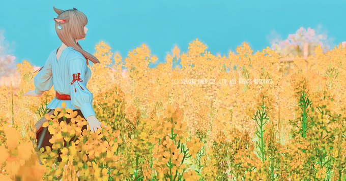 菜の花畑のtwitterイラスト検索結果 菜の花畑のtwitterイラスト検索結果