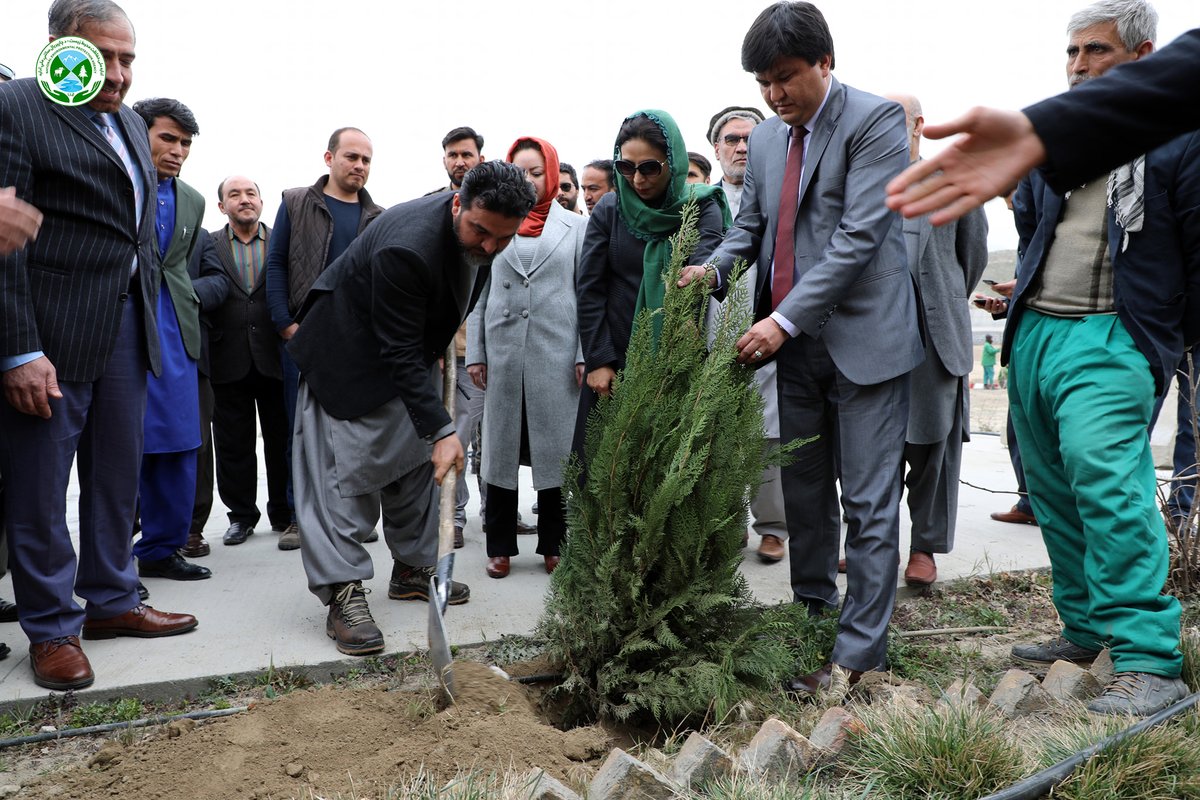 nepairoa's tweet photo. Maiwandi: A green revolution is necessary for a green and healthy environment.
#TreePlanting1400
#climate https://t.co/cPczgAHE4D