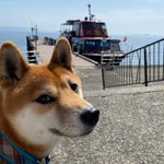 ツイートに含まれる画像