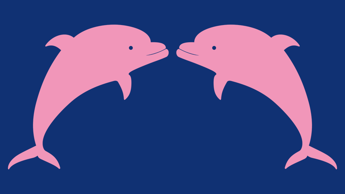 えいだんねこ この子たちより かわいいイルカw ほかに青色ボディに水色イルカ ピンクボディに黄色イルカってのもおったみたいやね