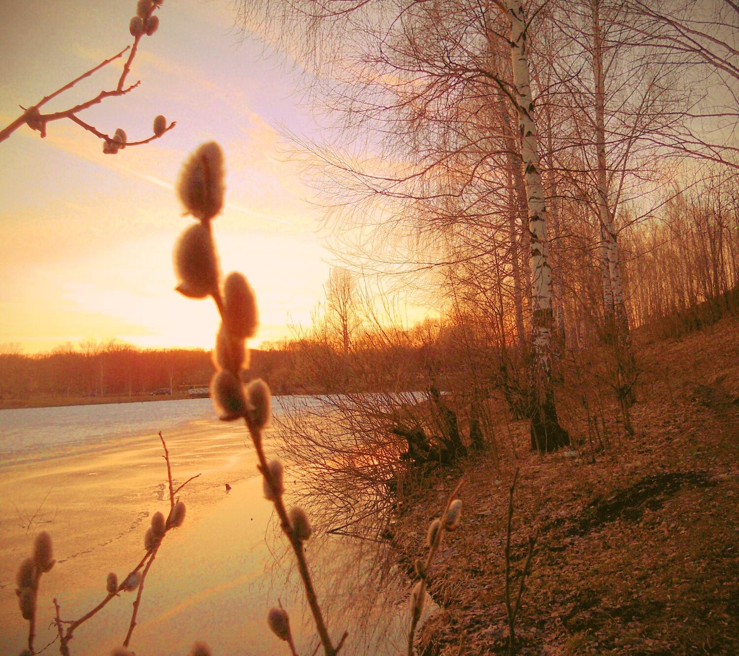 Весна вечер природа