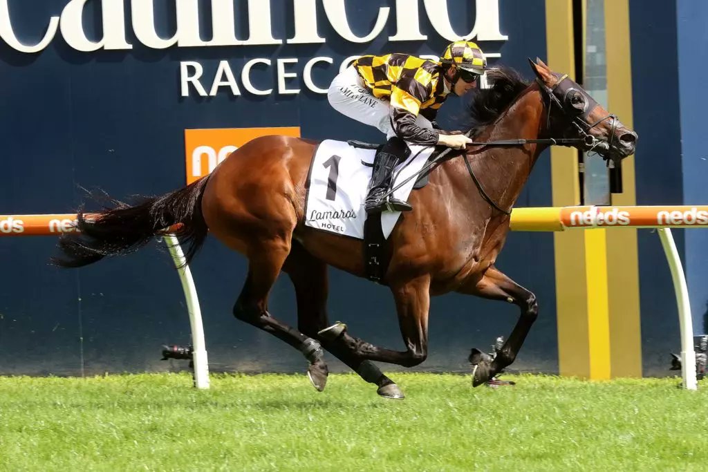horse racing tips betting pro horse racing tips betting pro