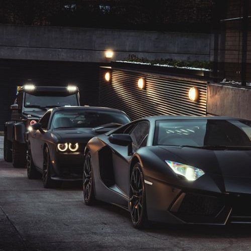 Anna projen fud tweet media