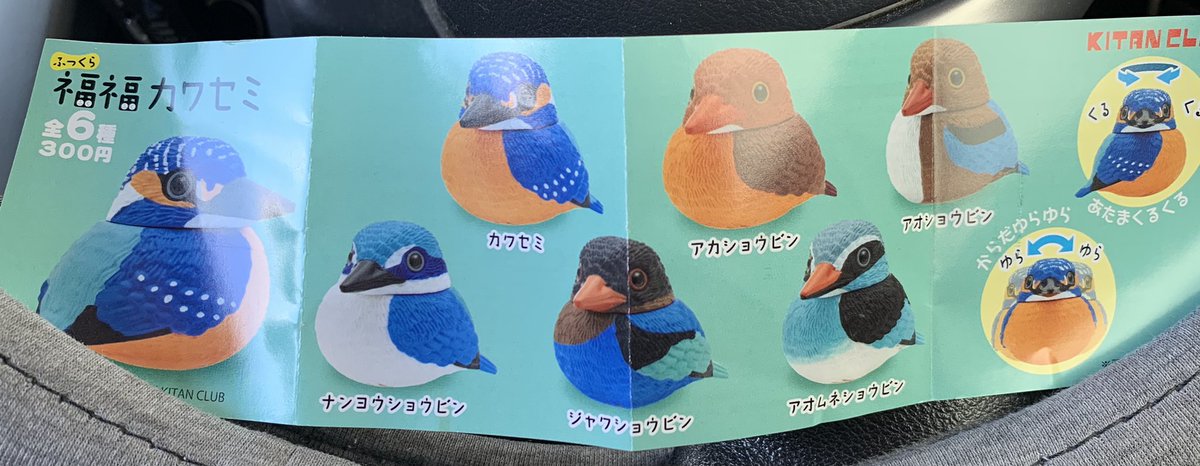 かわいい！！
ガチャガチャなんか3億年ぶりに回した。大人になってから回すガチャガチャ、脳汁がやばい。無限に回してしまいそうになる。