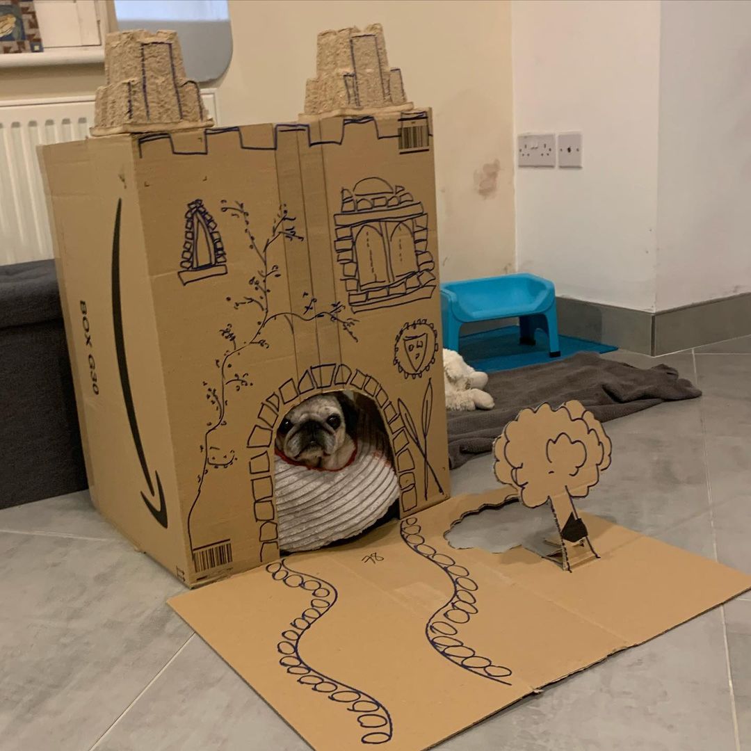 sam02oct's tweet image. #PledgeToReuse @amazonIN 
Made Dog house for my Tommy using amazon Cardboard... Thank you Amazon...