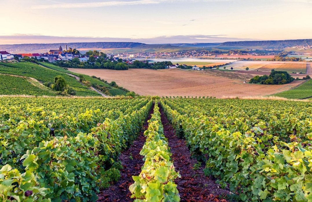 CEOEvents's tweet image. Now this article should peek interest for travel in 2022!  French wine ooh la la!! 🍾