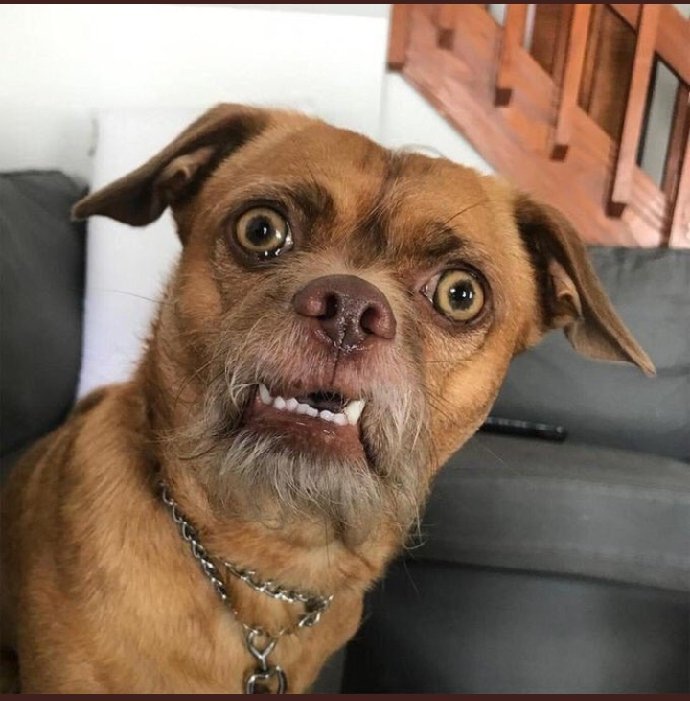 NoahKipsLangat's tweet photo. @profGeorgemakoha ; I can even decide to introduce wearing of uniforms in universities and you will do nothing other than adhering! Sema ng'weπ‘π‘π‘
@Uhunyeparody ;Mimi naweza ata weka curfew saa kumiπ‘π‘π‘π‘
@kenyans;ππππ
#Curfew #KenyaInanitosha #comrade4comrade https://t.co/aJmvimfXv6