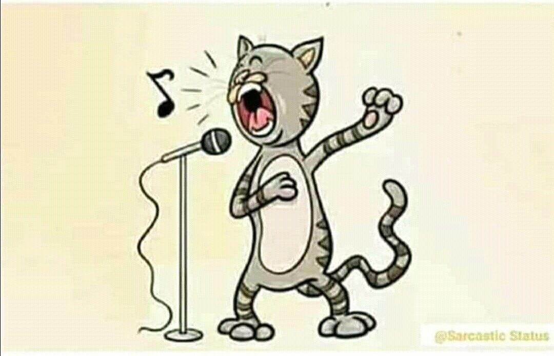 Кот поет в микрофон. Cat singing in mic. Sing cat. Кот с микрофоном. Кот поет.