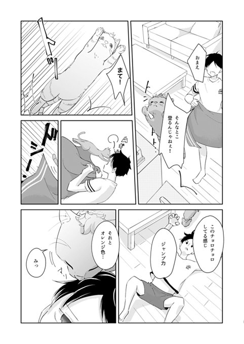 ページ繋がってないですが、中身も少し?
大人山君動物に嫌われる悩みが消えていたので
にゃんこを同じ部屋に詰めてみました 