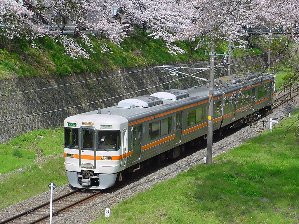 ＊絶版 希少モデル＊313系3000番台 “パンタ増設準備工事車両”2両セット EwW-0d0VoAIYyW1?format=webp&