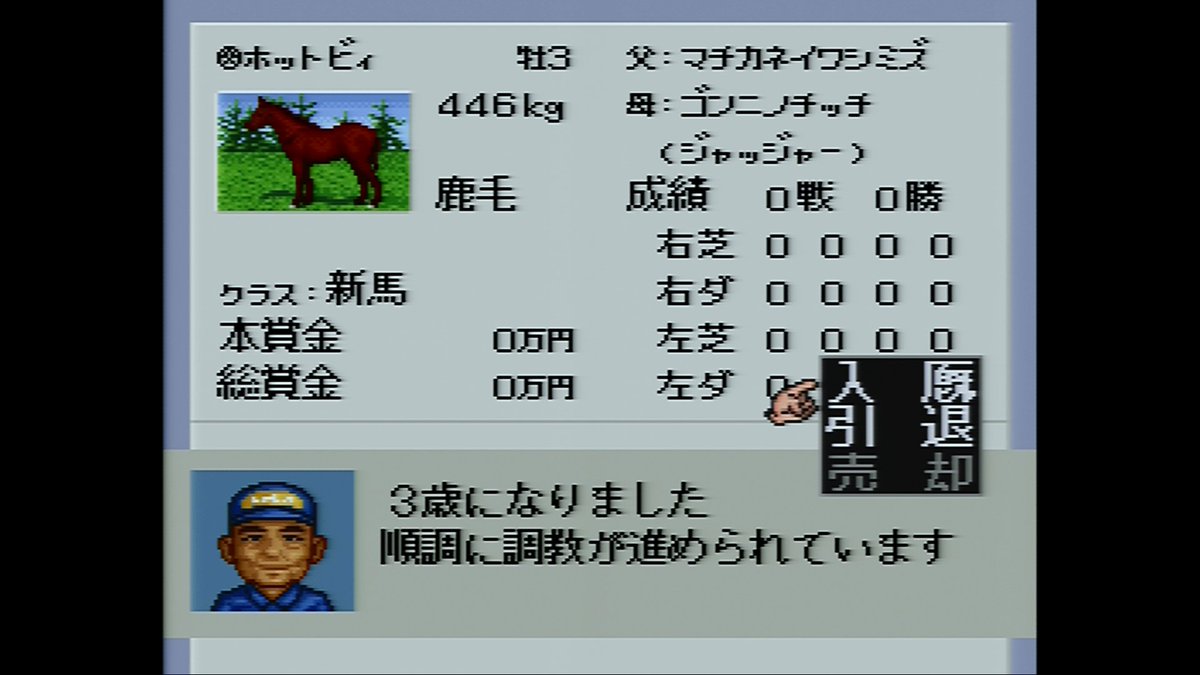 ぺたへるつ No Twitter ホットビィが三歳になったので入厩 調教開始 まずは馬体を絞るところから ダビスタ3