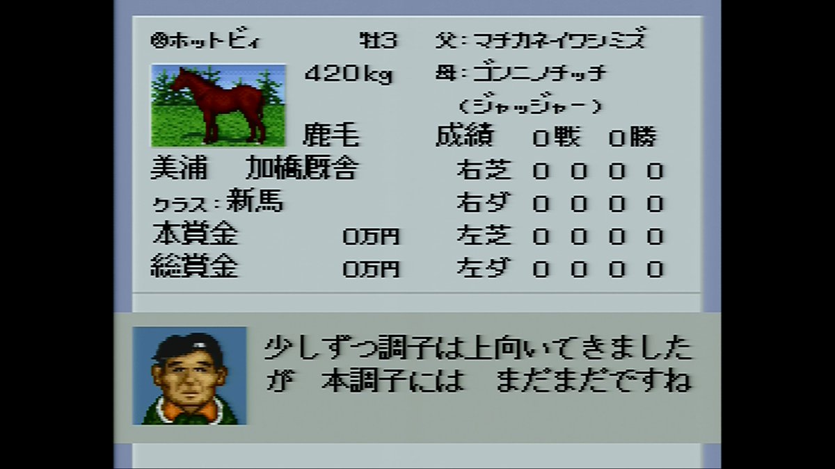 ぺたへるつ No Twitter ホットビィが三歳になったので入厩 調教開始 まずは馬体を絞るところから ダビスタ3