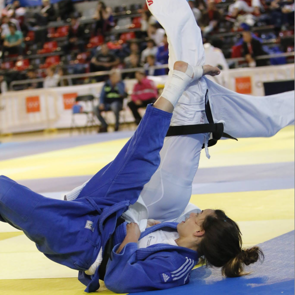 Judo Management tweet media