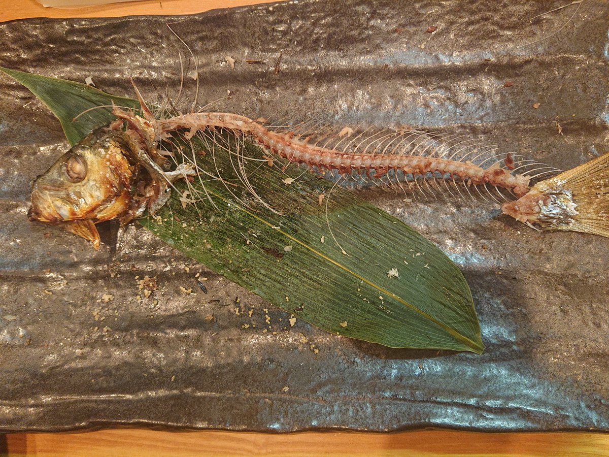旭川医大寄生虫学講座 ごちそうさまでした ニシン 旭川医大寄生虫学講座 ごちそうさまでした ニシン