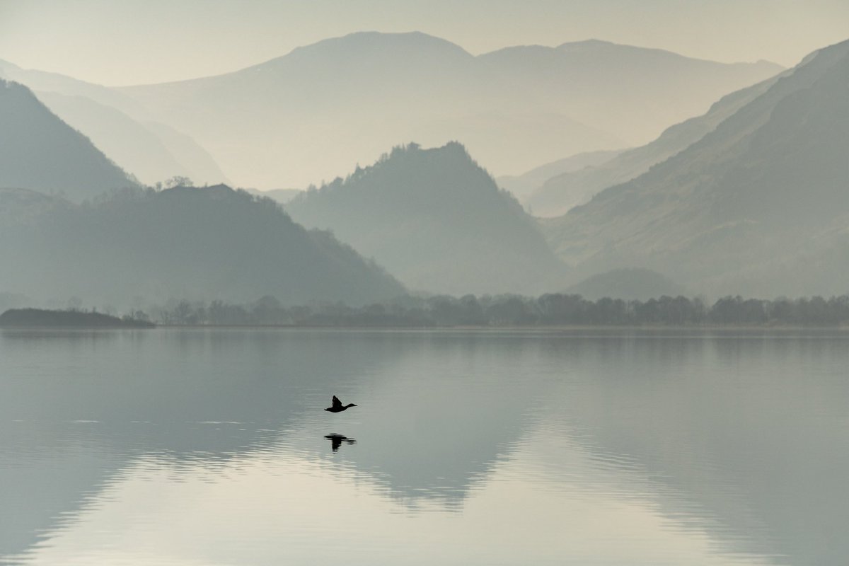 Carmen Norman tweet media