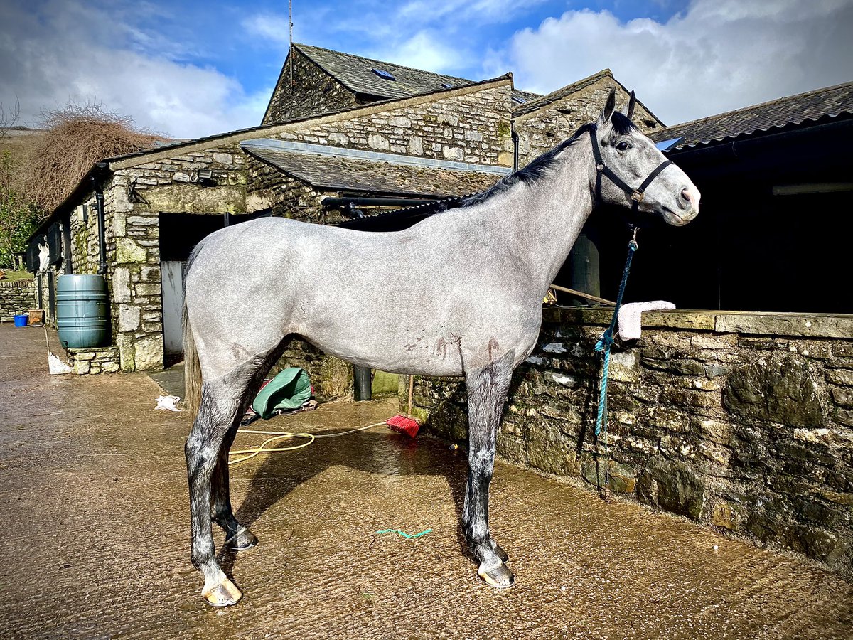 Alex Garven tweet media