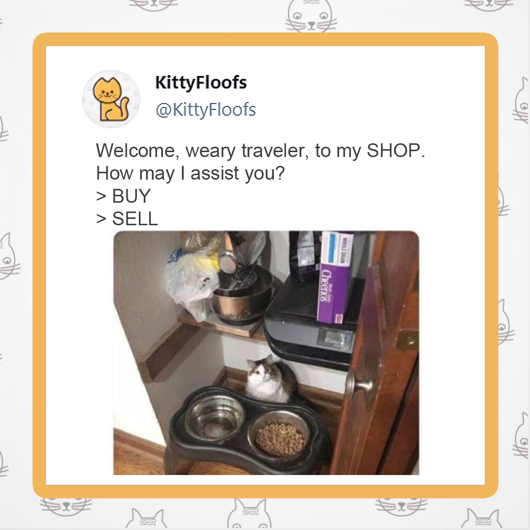 KittyFloofsVids's tweet photo. Can I helpz you with somethings hooman? 😅

⁠💥Viral and Entertaining Cats by @kittyfloofs  ⁠
🗯️Have Fun and Learn About Cats With @kittyfloofs⁠
⁠
#kittyplay #caramelli #whitecatblueeyes #catifyco #tuftandpaw #my_cat #purrcat#smudgekissed #instacatsgrams #catscrazy #catagrams https://t.co/vVLSubKxwq