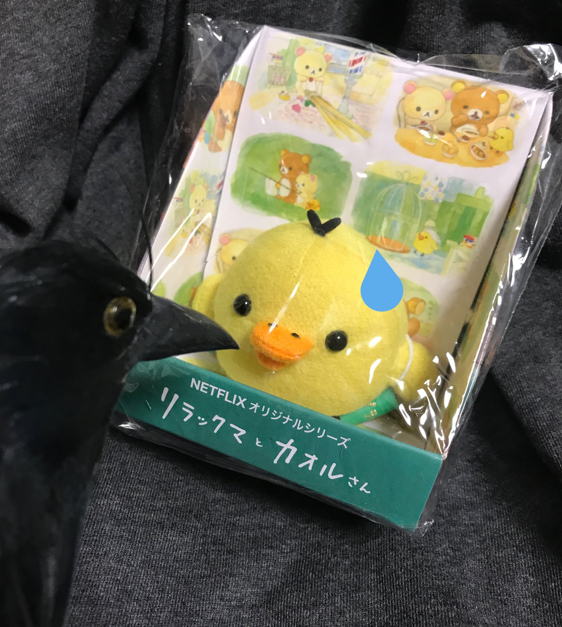 新品キイロイトリブラックYELLOW BLACK あつめてぬいぐるみ　ロフト限定 m12863372343_1.jpg?1726478950