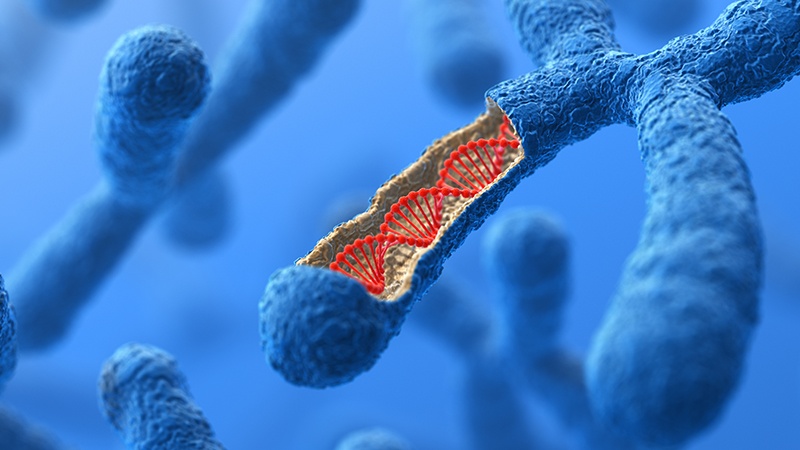 genomicsedu's tweet photo. Weekend read: Although 'haplo' means 'simple', the science can be anything but. Check out this handy guide to haplotypes, haplogroups and more: https://t.co/r2pAzDr9hP
#genetics #genomics https://t.co/HX555A15pe