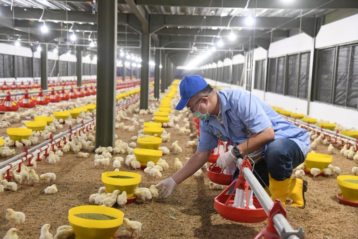 Smart closed house di kampus IPB sukabumi