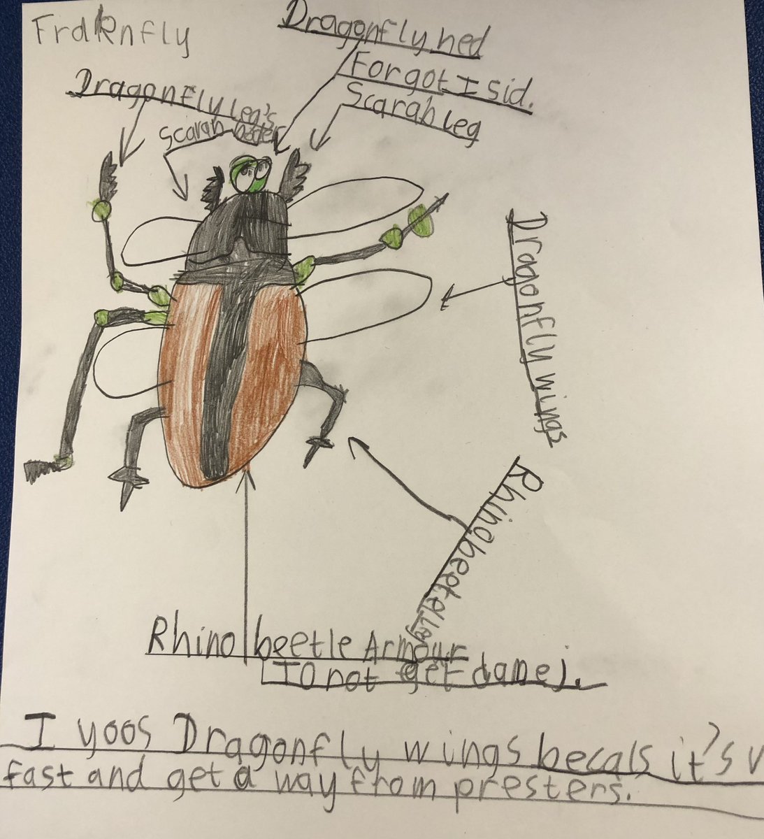 KinderleySchool's tweet photo. Foxes combined #science and #dt creating a Super Bug. Here are some of their designs! #learning #teaching #design #scienceweek https://t.co/IP2VrG8rlP