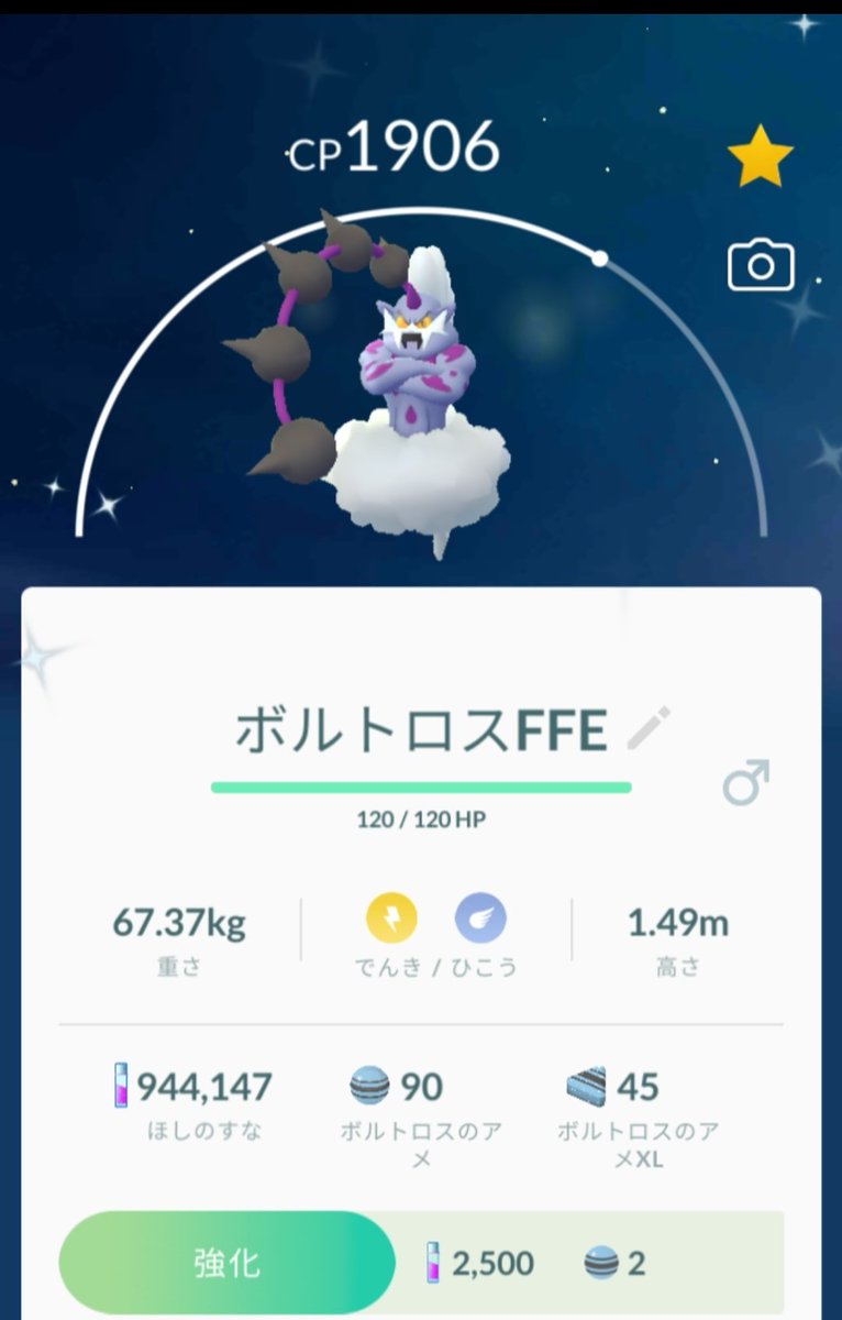 小夏 ボルトロスの色違い やっときました とても嬉しいです 色違い ボルトロス ポケモンgo