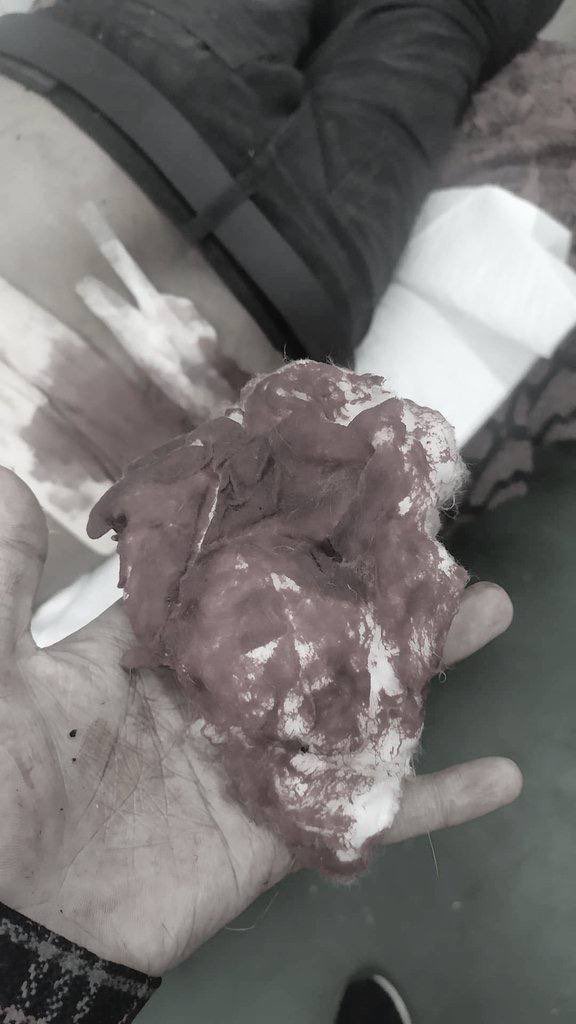 JoPixy1988's tweet photo. GRAPHIC CONTENT:
Another young hero was fallen again in #Pyay. He is the only son of his family. Now he was brutally murdered by Inhuman Military Terrorists. @freya_cole @UN @TostevinM @KenRoth @ICJ_Asia #WhatsHapppeningInMyanmar #Mar13Coup https://t.co/vphqO84eoJ