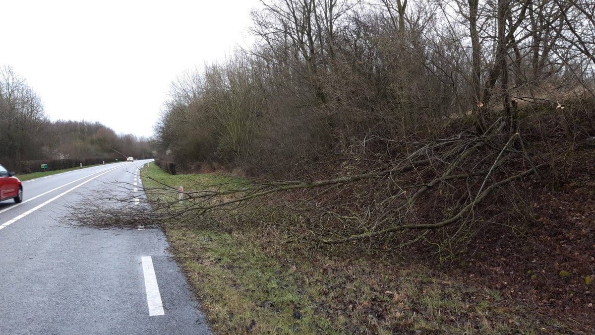 POL_OC_Limburg's tweet photo. De βboomβ op de #N276 blijkt lichtelijk overdreven. Uiteraard wordt deze wel verwijderd. π±
#takkenmelding
#VolgOCLB https://t.co/IyuHgjFSUZ