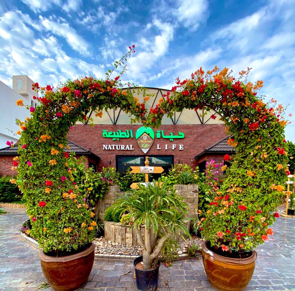 دليل حسان 🍔 ☕️ تغطيات الرياض (@hassan_guide) on Twitter photo ثريد لمن يبحث عن #مشاتل و #شتلات و مستلزمات #حدائق سواء #حدائق_منزلية تصميم و تنفيذ هذي قائمة باشهر من تعاملت معهم وتمت زيارتهم وعندهم شي مميز #الزراعة #خضراء #الرياض_آرت #نور_الرياض اكثر من ٢٥ موقع مشتل متنوع <a href="/Tashger_Riyadh/">حملة تشجير الرياض</a>
google.com/maps/placelist… ثريد لمن يبحث عن #مشاتل و #شتلات و مستلزمات #حدائق سواء #حدائق_منزلية تصميم و تنفيذ هذي قائمة باشهر من تعاملت معهم وتمت زيارتهم وعندهم شي مميز #الزراعة #خضراء #الرياض_آرت #نور_الرياض اكثر من ٢٥ موقع مشتل متنوع <a href="/Tashger_Riyadh/">حملة تشجير الرياض</a>
google.com/maps/placelist…
