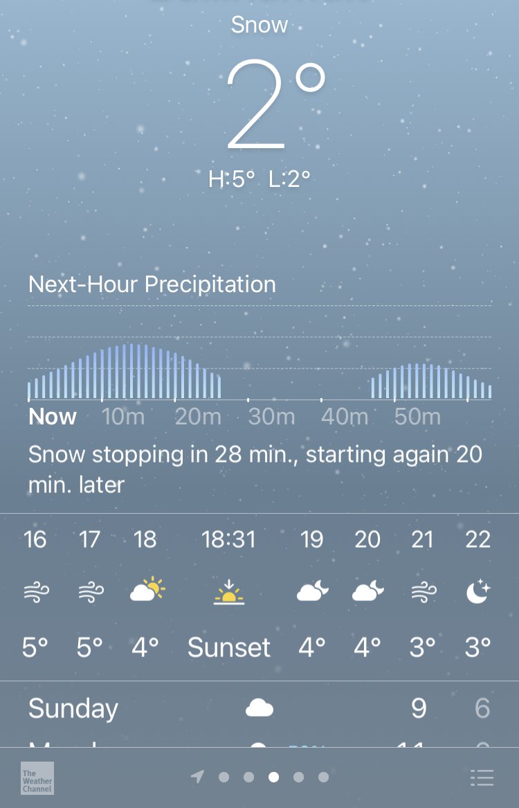 fimalone1 tweet media