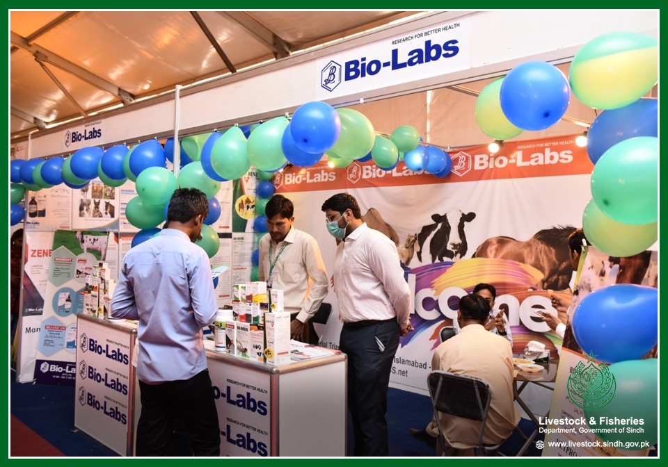 Sindhlivestock's tweet photo. The indoor hall is well set up with different exhibitors showcasing different aspects of the livestock industry.

#SindhLivestockExpo #SLE2021 
#FoodSecurityAwareness #LivestockMarketplace #LivestockPotential #BreedImprovement #DairyFarming #Poultry #Fishery #PrivateFarmers https://t.co/SknHAs1JcX