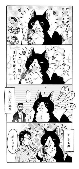 ねこまたと まいぶーむ?? 