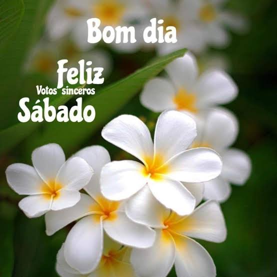 SAMPAIO🇧🇷🇧🇷🇧🇷BOLSONARO CAPITÃO DO POVO - 22 on Twitter: SAMPAIO🇧🇷🇧🇷🇧🇷BOLSONARO CAPITÃO DO POVO - 22 on Twitter: