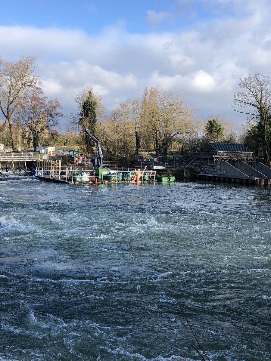 stouty26's tweet photo. Bright and windy morning down at @RdgHydro #viewisland #riverthames @EnvAgency @RiverThames @CanalRiverTrust #Cavershamweir #riverthames #hydropower #sustainability #readingbridge https://t.co/CmudDncxiL